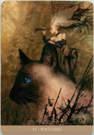 Fantasy Cats Oracle